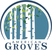 American Groves